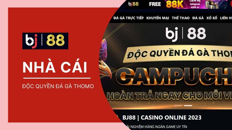 BJ88 | Link Vào Nhà Cái đá Gà THOMO BJ88 Mới Nhất 2024 ?️