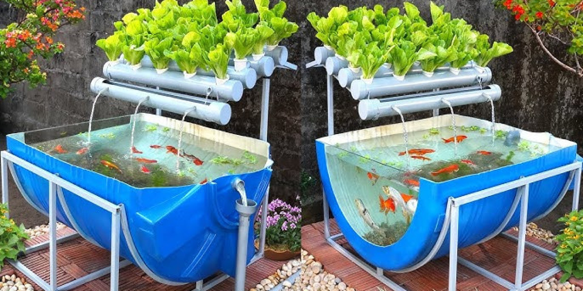 Aquaponics Market Demand Soars Amid Growing Interest in Eco-Friendly Food Production