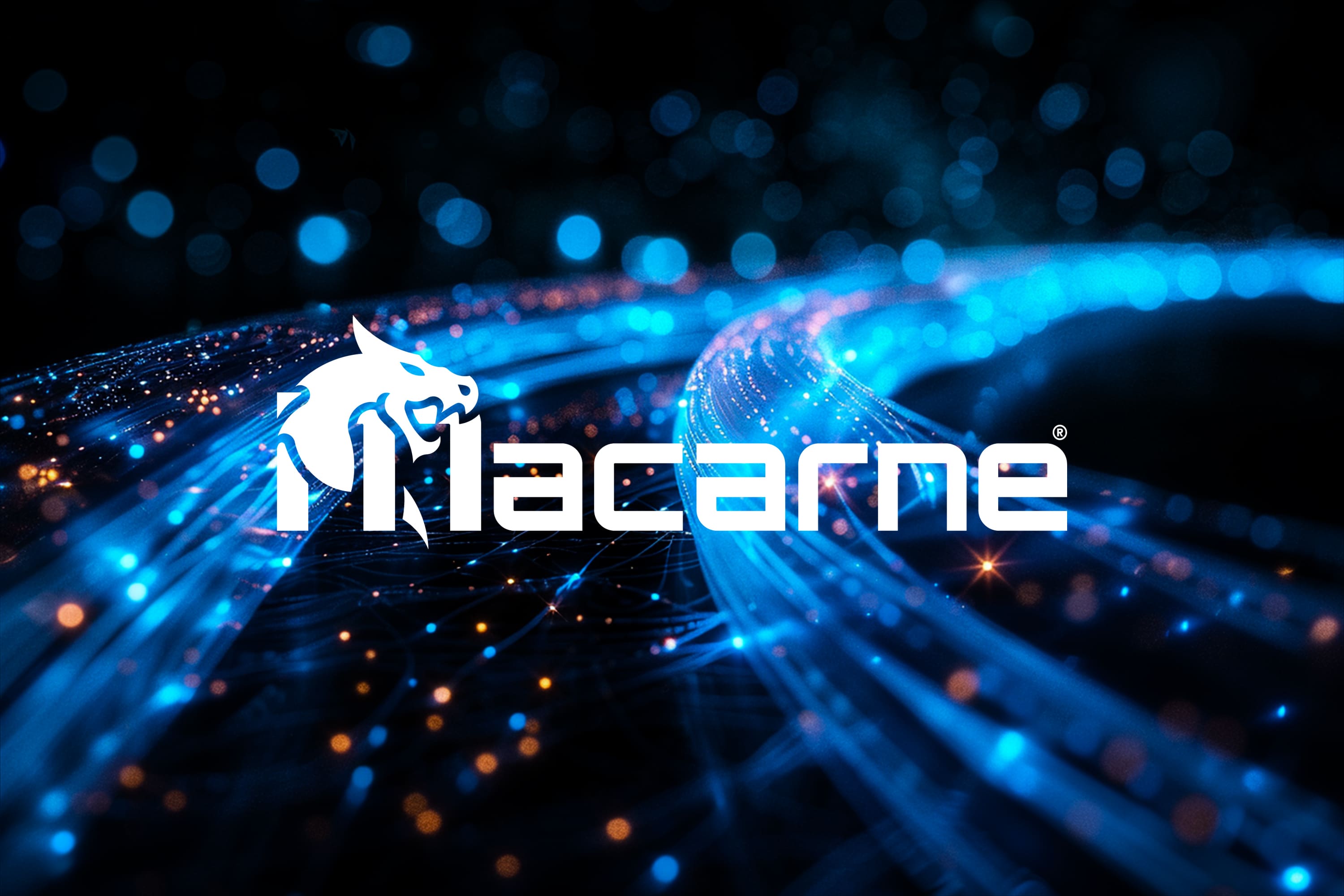 IP Transit Expert and Networking Expert | Macarne