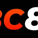 abc8 ooo Profile Picture