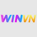 winvnvnco Profile Picture