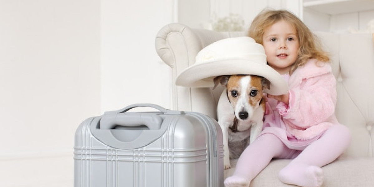 How to Choose a Flight Nanny for Your Pet