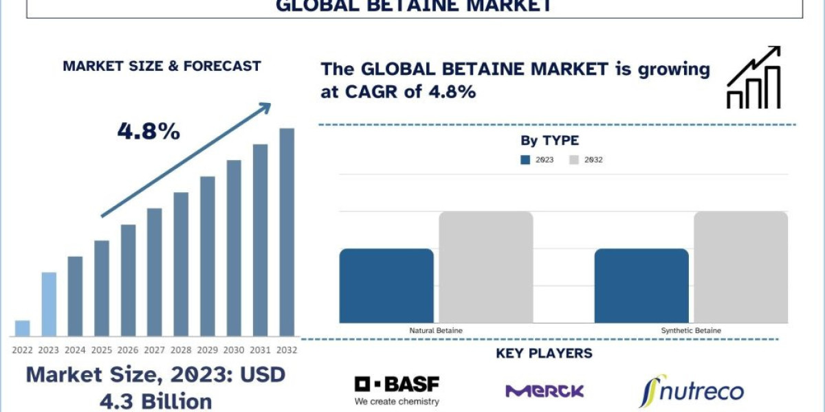 Betaine Market Size, Trend, Analysis & Report