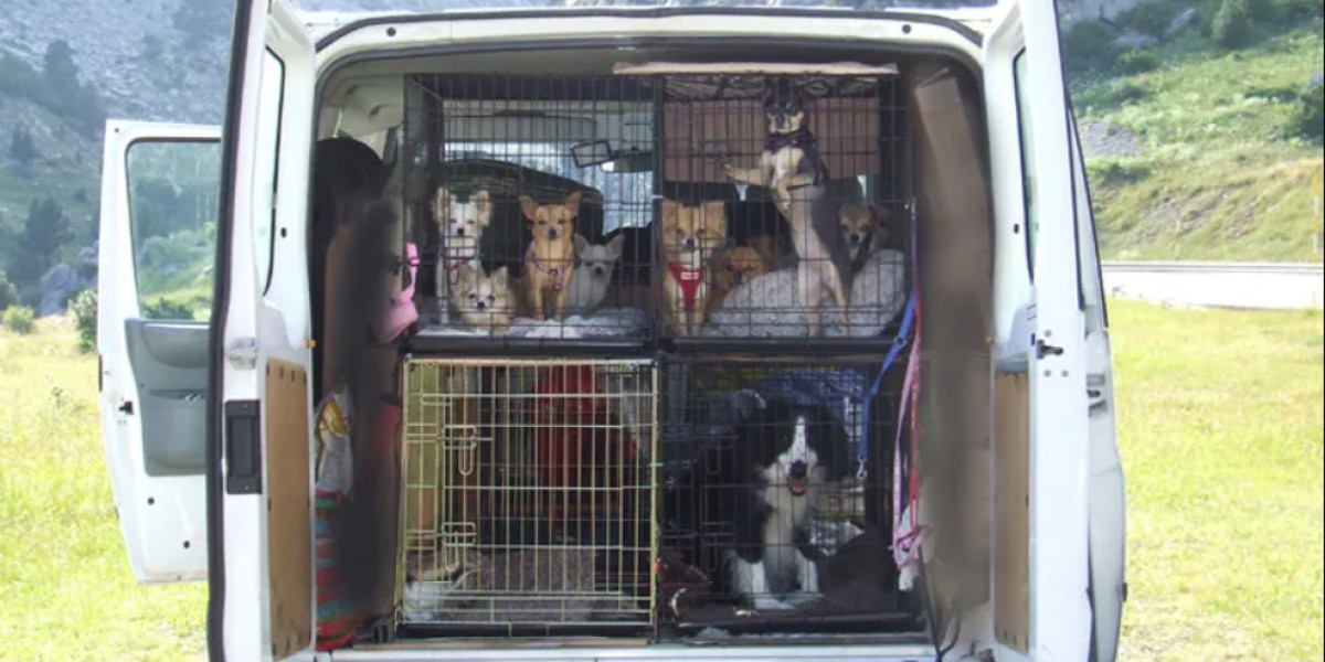 Reliable Pet Transport Service in Chicago