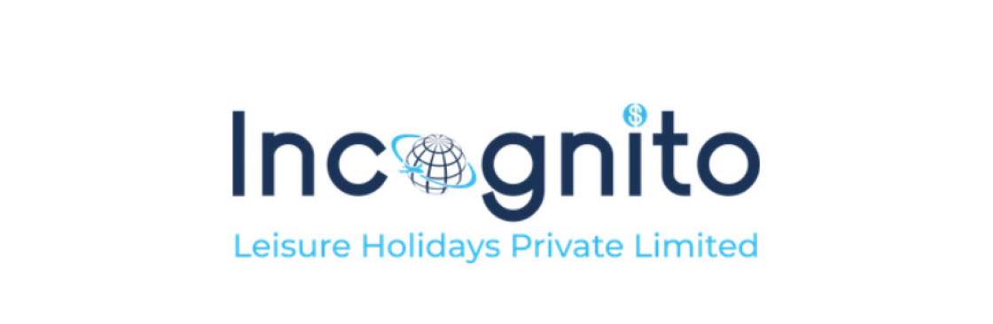 Incognito Holidays Cover Image