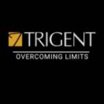 Trigent Software profile picture