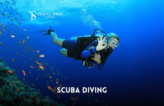 Scuba Diving Dubai | Book Scuba Diving tickets with Travel Saga