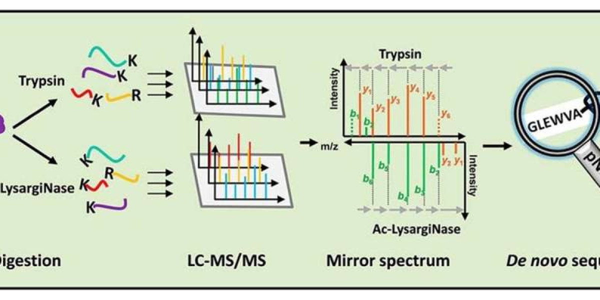 What is De Novo Peptide Sequencing?