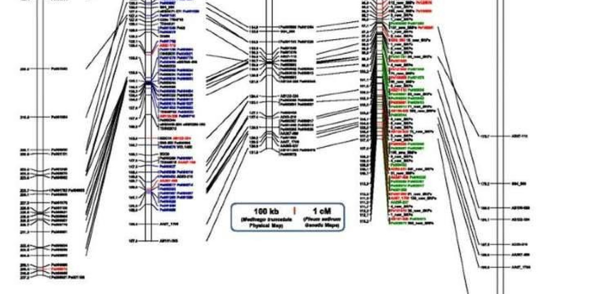 A Guideline of Genetic Map Construction for Different Populations