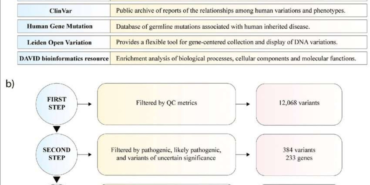 Summary of Common Databases for Next Generation Sequencing