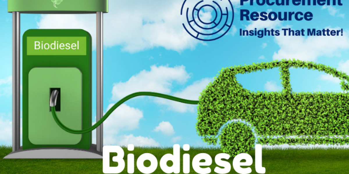 Biodiesel Production Cost Analysis: Key Insights for Competitive Advantage