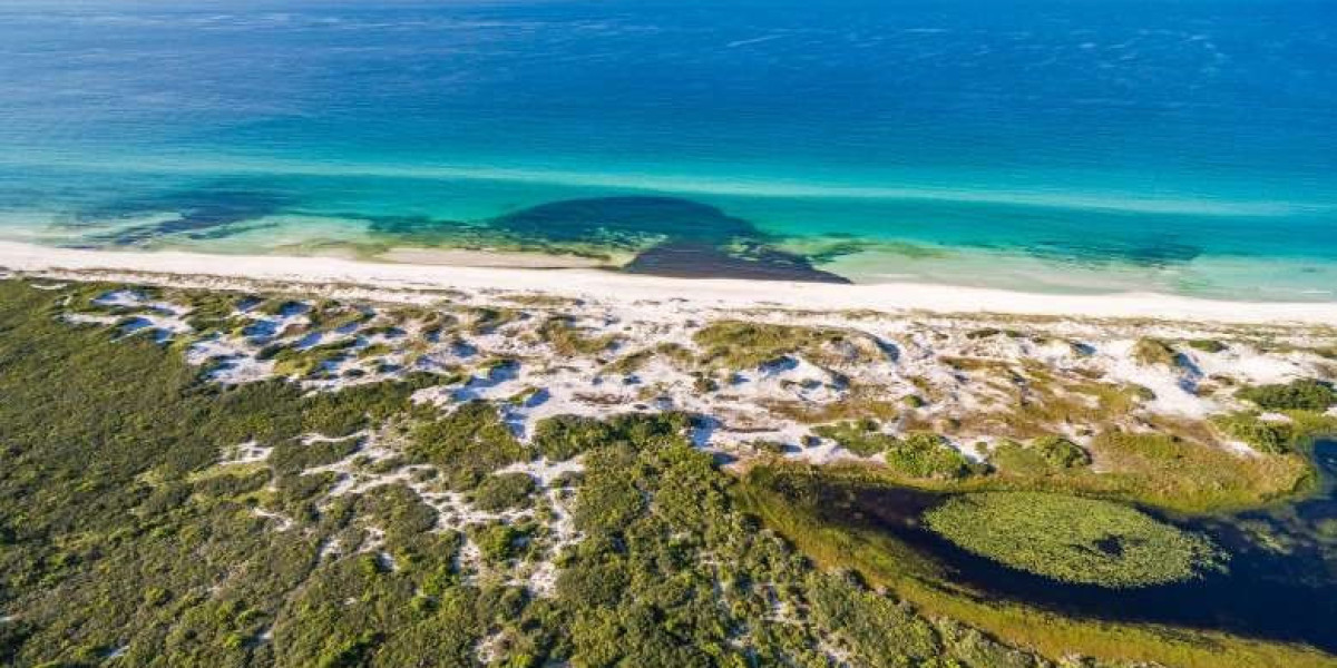 Discover the Best of Henderson Beach State Park Camping and Destin Harbor Restaurants: A Complete Guide for Your Next Fl