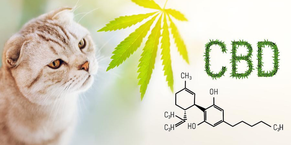 CBD Cat Treats A Holistic Approach to Feline Health and Happiness