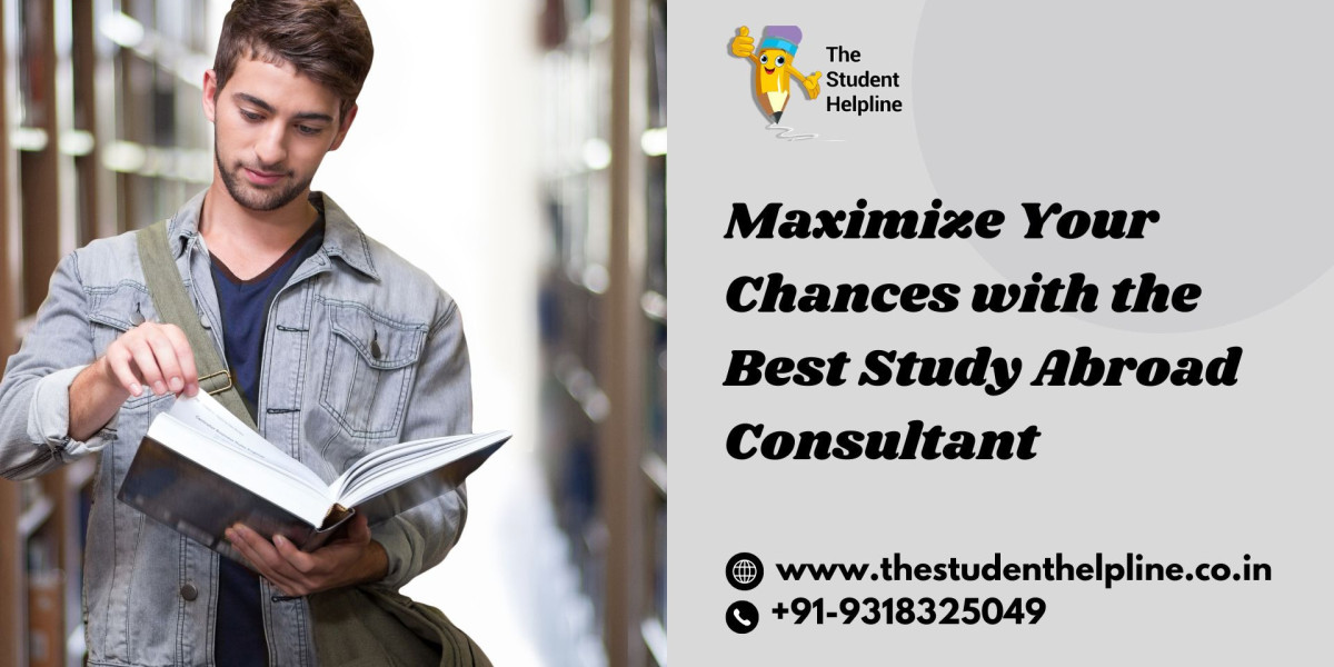 Maximize Your Chances with the Best Study Abroad Consultant