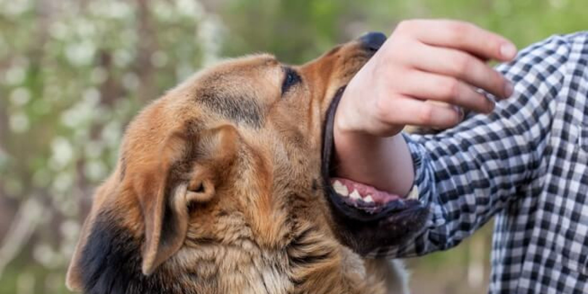 Dog Bite Prevention Tips Keep Yourself and Your Loved Ones Safe