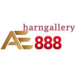 ae888harngallery Profile Picture