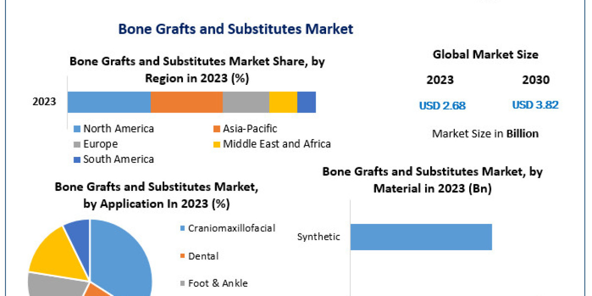 Bone Grafts and Substitutes Market Innovations and Developments 2024-2030: A Global Perspective