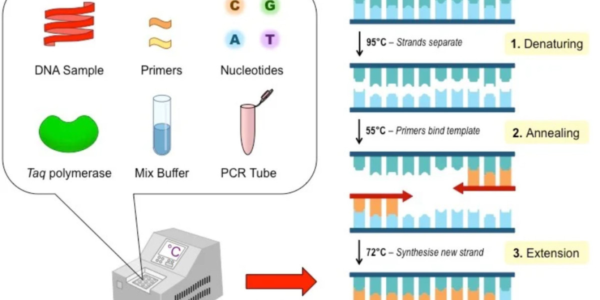 Asia-Pacific PCR Technology Market Set for Major Growth, Projected to Reach USD 30.43 Billion by 2034