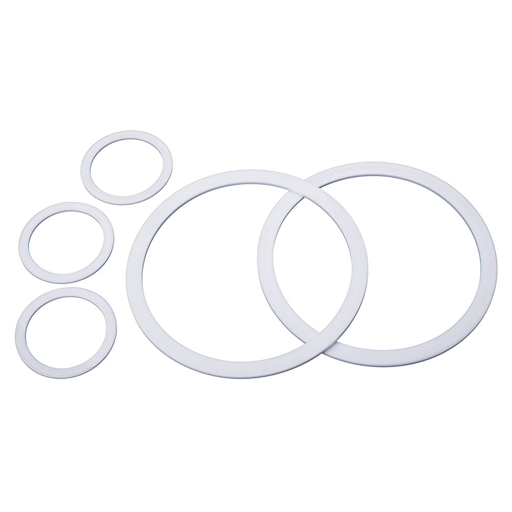 PTFE & CNAF Gaskets | High-Performance Seals