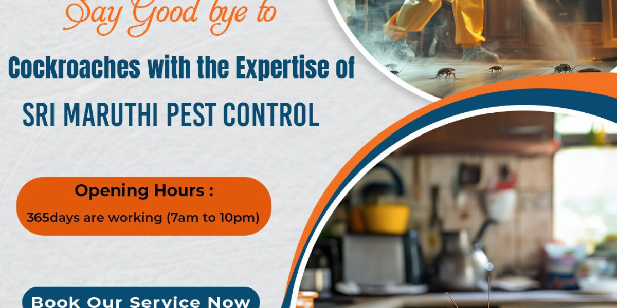 Effective Household Pest Control Services in Hyderabad for a Pest-Free Home