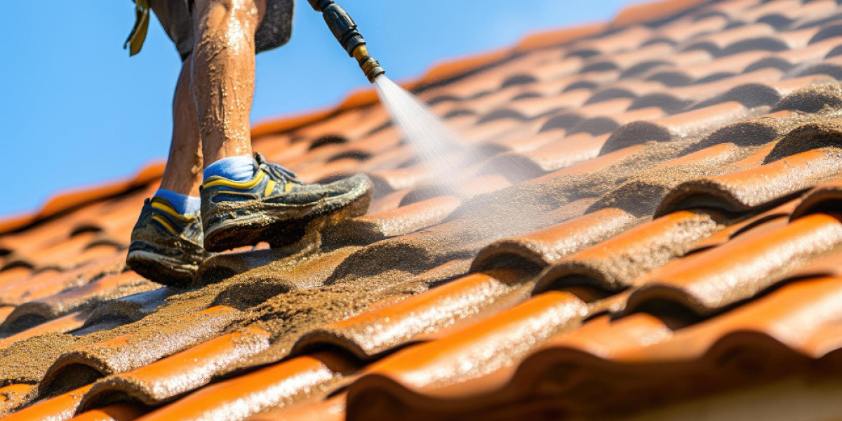 Professional Roof Cleaning in Surrey for Protecting and Beautifying Your Home