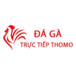 Đá Gà Trực Tiếp Thomo Hôm Nay Profile Picture