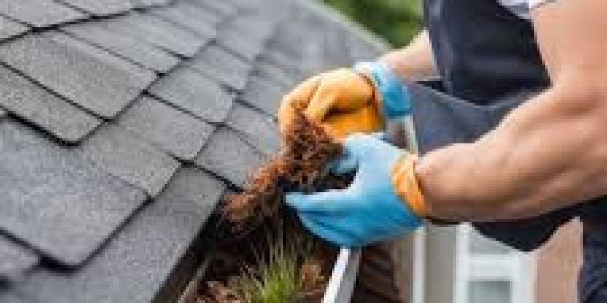 Simplify Your Home Maintenance Routine with Expert Gutter Cleaning Services