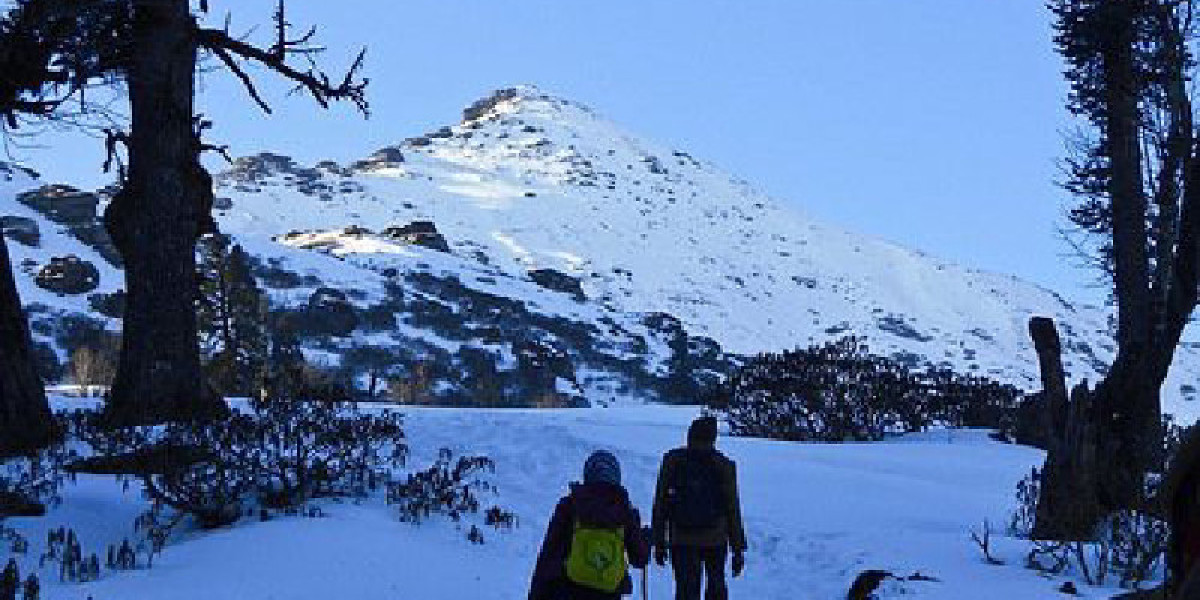 Discover The Most Famous Winter Treks In India: Must Visit