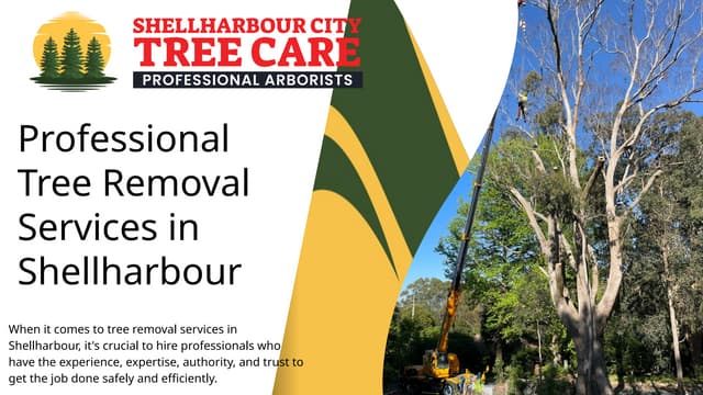 Professional Tree Removal Services in Shellharbour (1).pptx