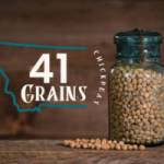 41 Grains Profile Picture