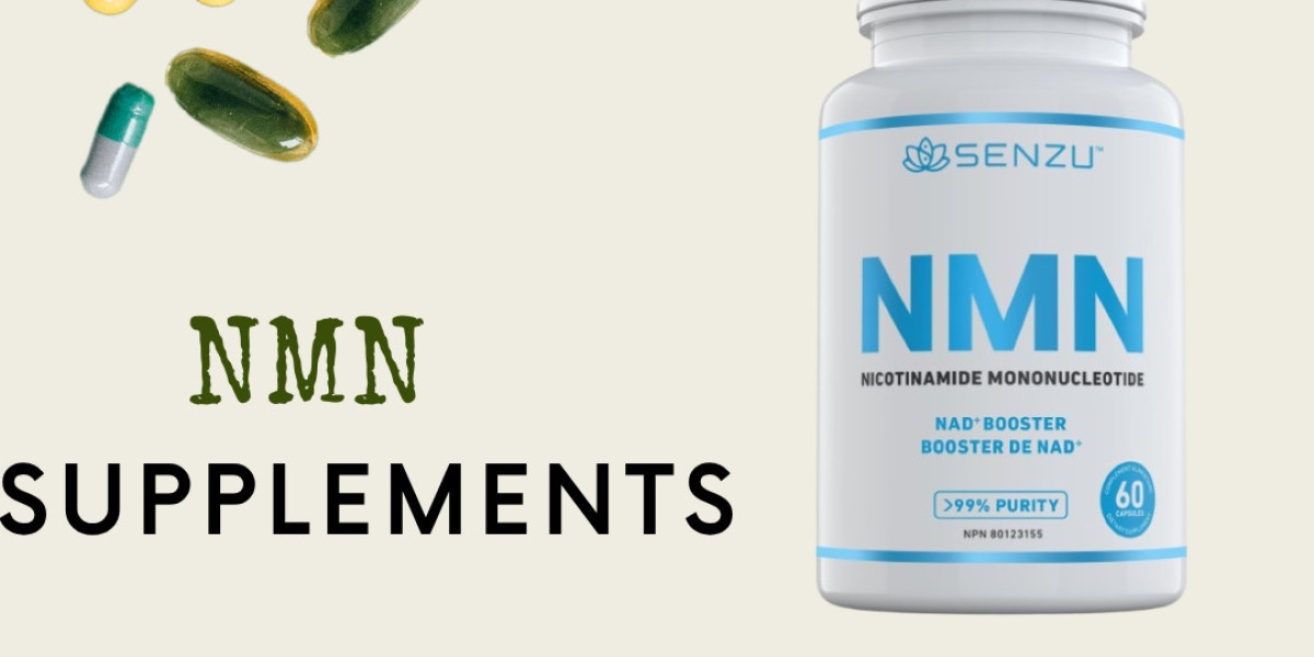 Where to Buy NMN Supplement in Pakistan at Best Prices?