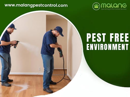 Top Signs Your Pest Problem is Worse Than You Think | by Malang Pest Control | Nov, 2024 | Medium