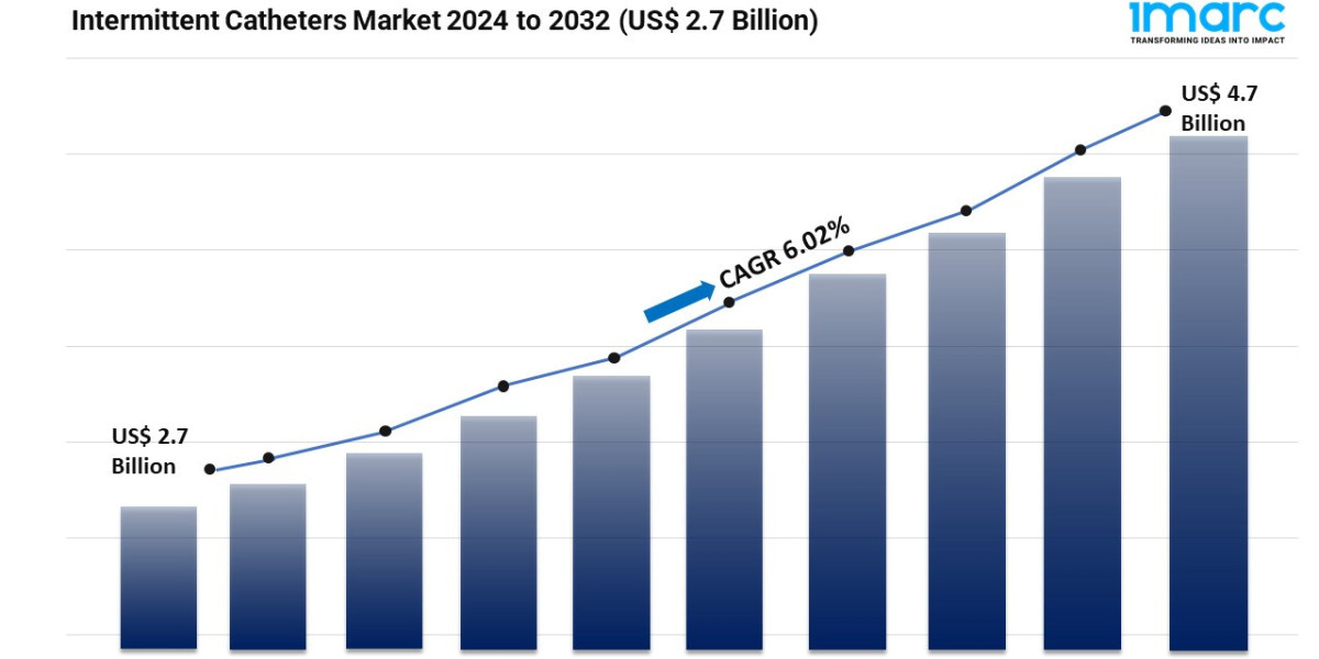 Intermittent Catheters Market Report 2024 | Share, Demand and Forecast by 2032