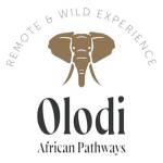 Olodi African Pathways Profile Picture