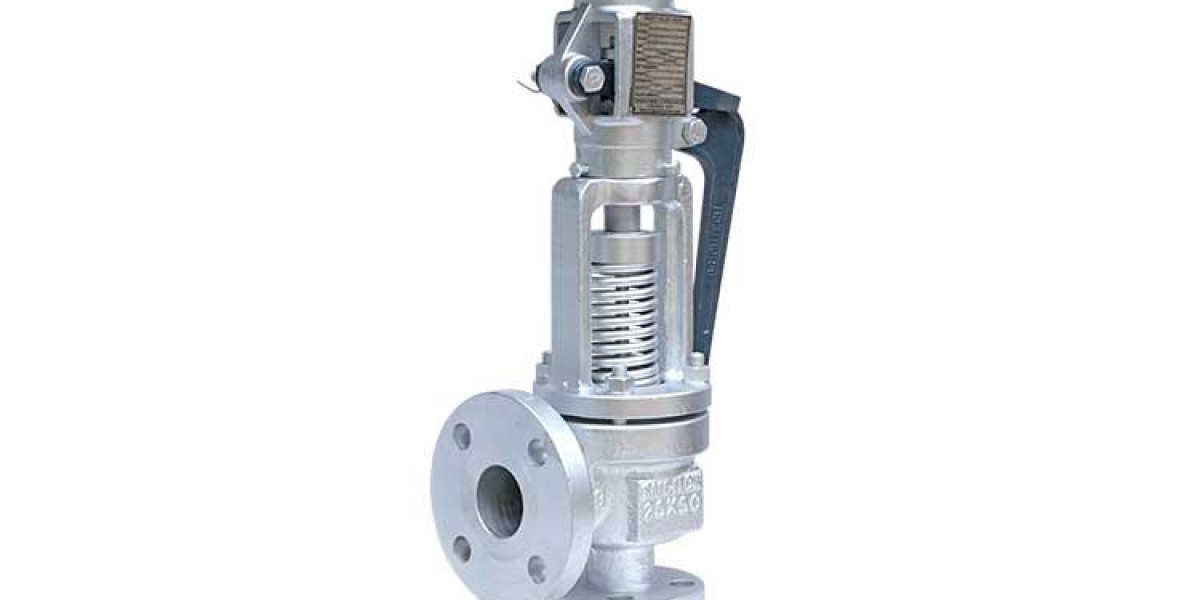 Discover the Leading Pressure Relief Valve Manufacturers for Industrial Safety