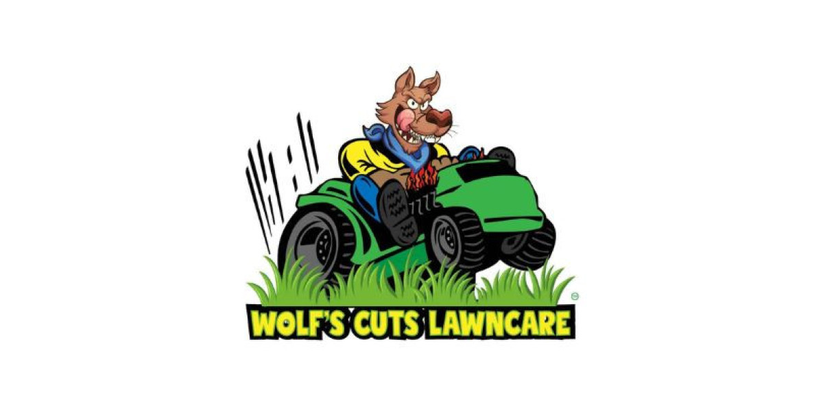 Seasonal Lawn Care Tips for Spring Hill, FL Residents