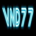 Vnd77 Profile Picture