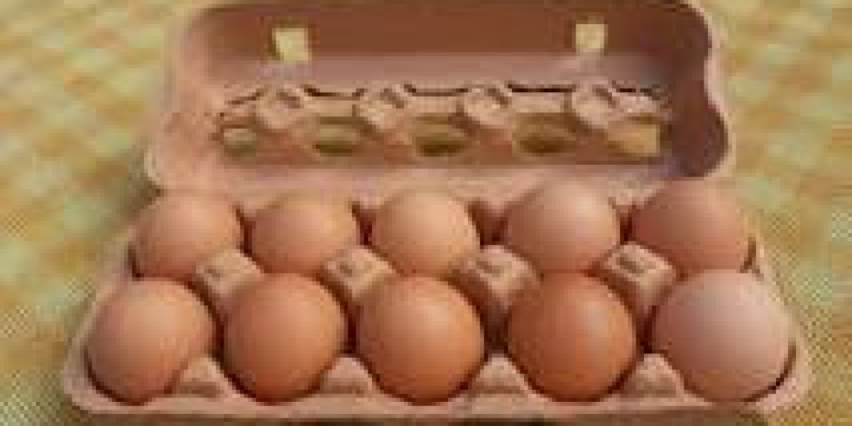 The Benefits of Buying Egg Cartons in Bulk