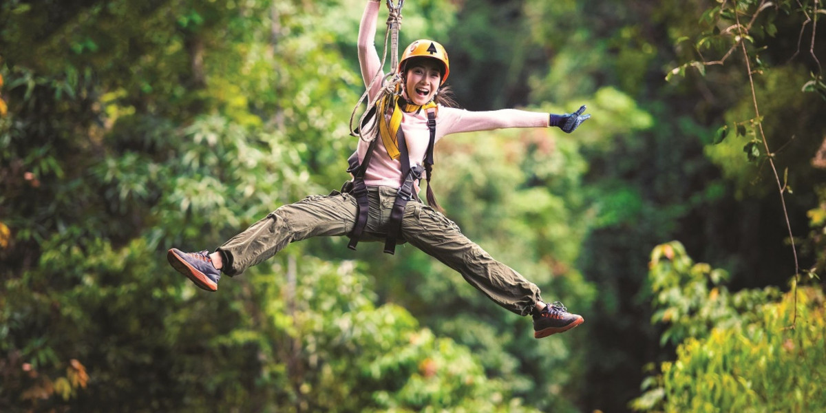 Why Rotorua Is a Top Destination for Ziplines in NZ