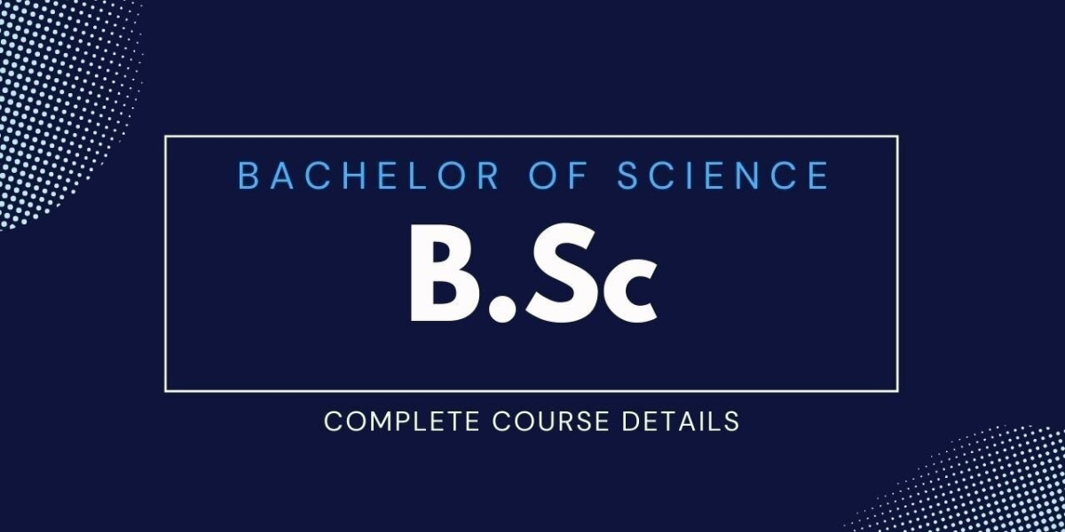 The Essence of a Bachelor of Science Program