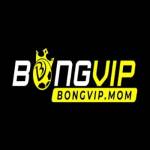 Nhà Cái BongVip Profile Picture