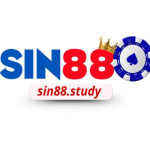 sin88study Profile Picture