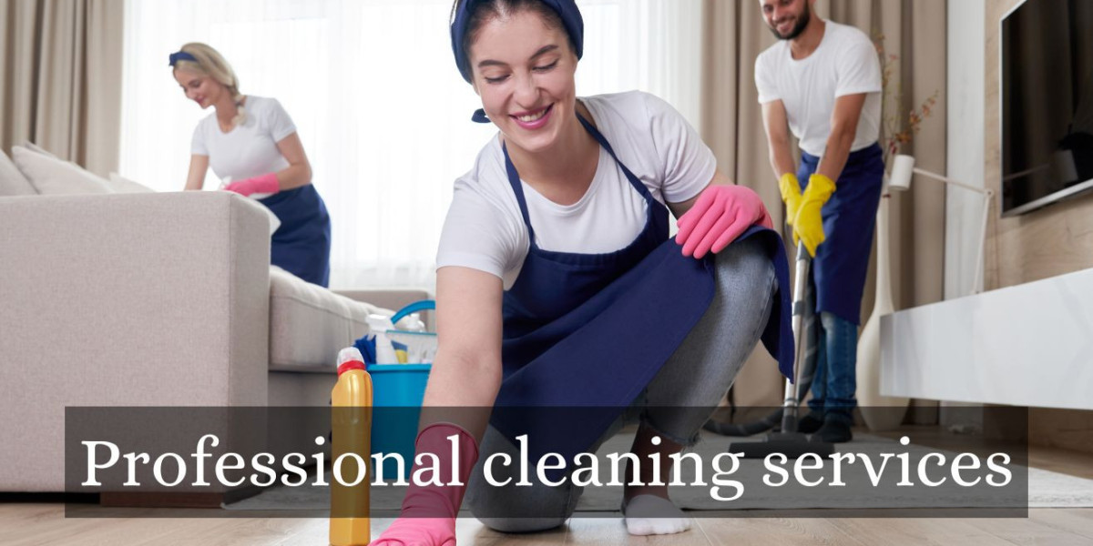 Professional Cleaning Services: Elevating Hygiene and Cleanliness Standards