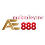 ae888mckinleyinc Profile Picture