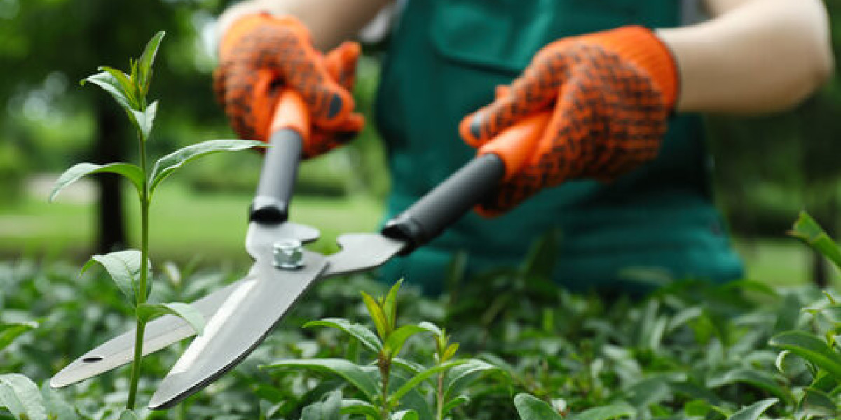 How Professional Commercial Gardening Services Can Boost Your Auckland Business’s Curb Appeal