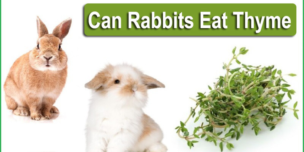 "Can Rabbits Enjoy Thyme? Breaking Down the Herb