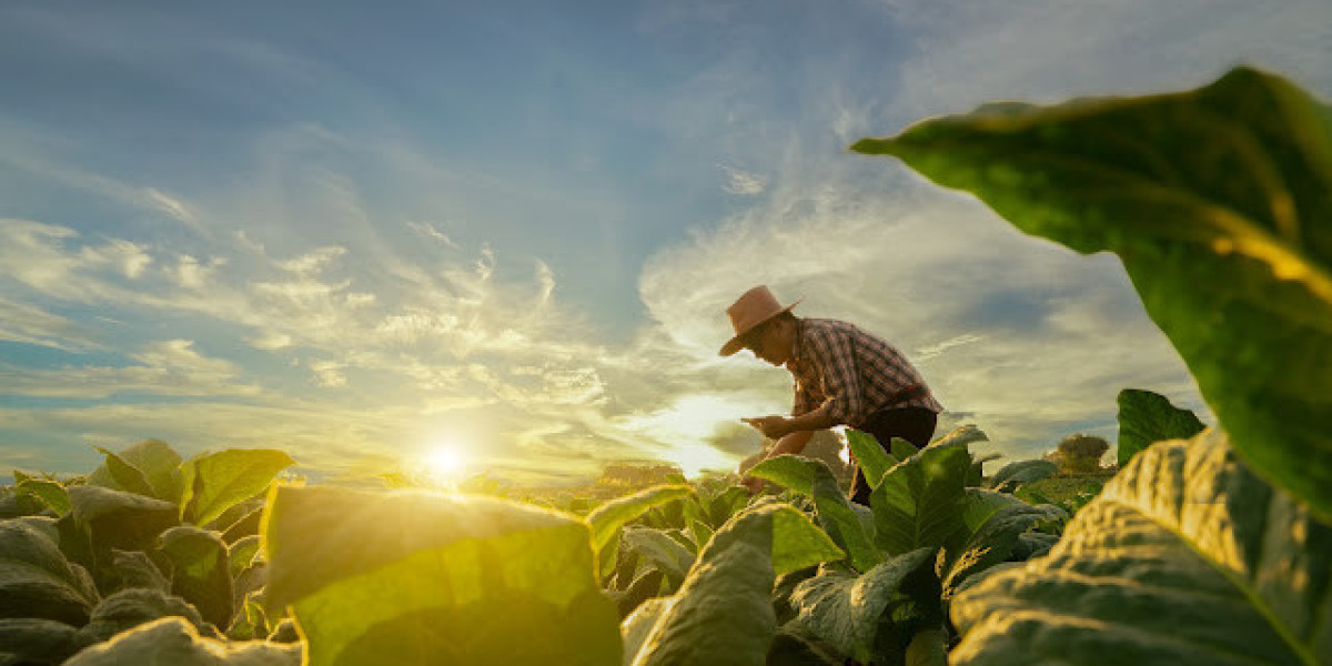 Climate Change and Agriculture: Adapting to a New Reality in 2025