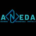 Aneda Digital Marketing Profile Picture