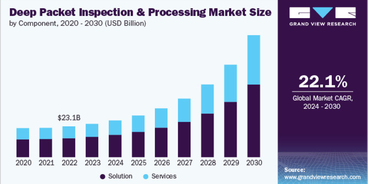 Deep Packet Inspection And Processing Market 2030: A Deep Dive into Industry Applications and Use Cases