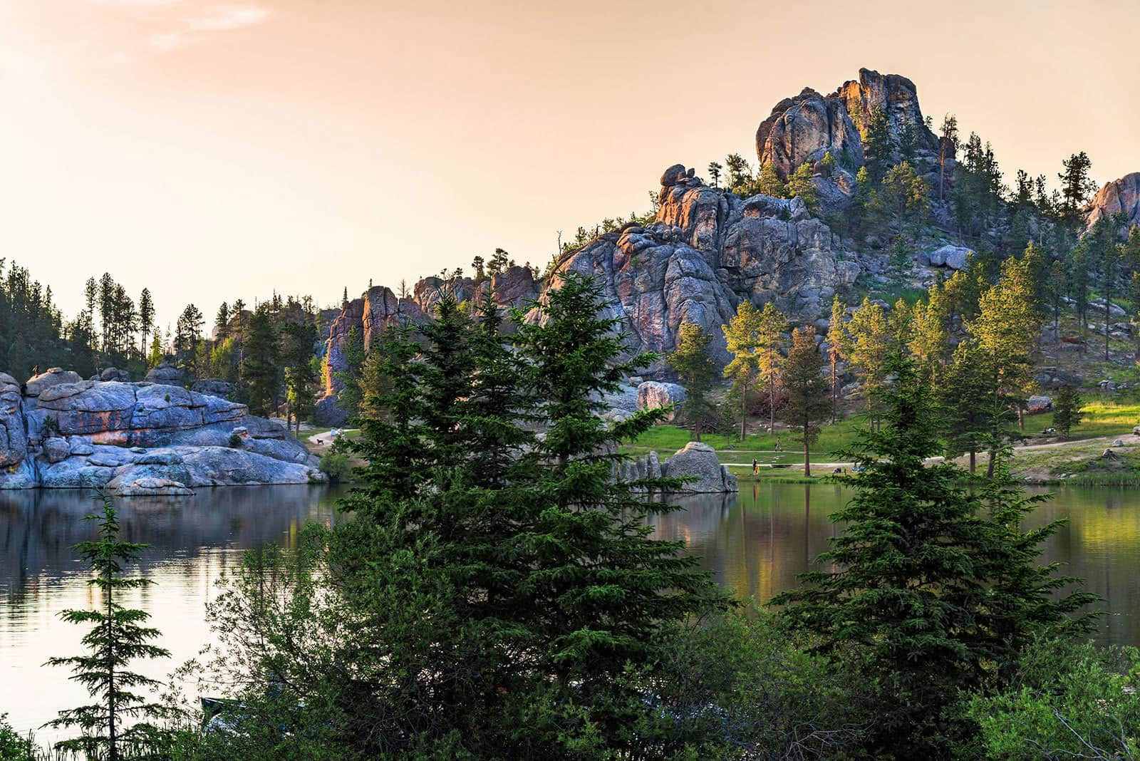 Luxury House And Property Rentals In Black Hills | Into The Woods